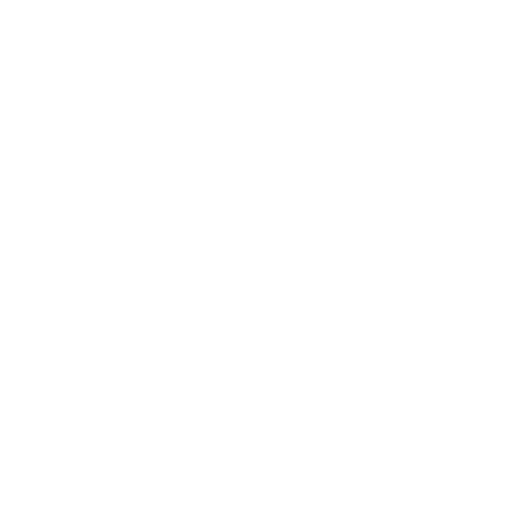 NinjaTrader